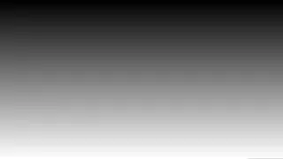 White 256-level grayscale (vertical)
