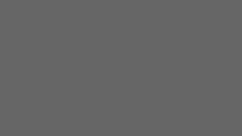 Grayscale 40%