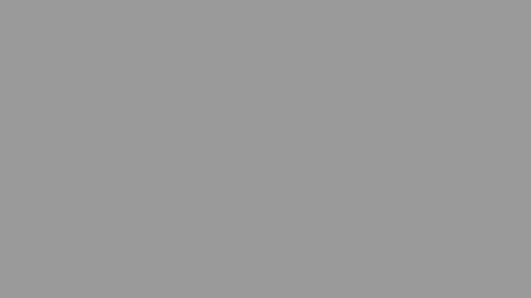 Grayscale 60%