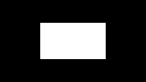 20% white window