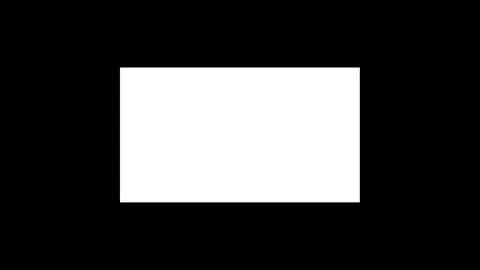 25% white window