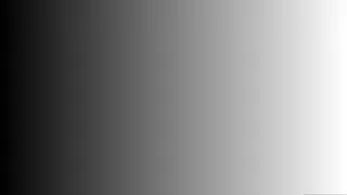 White 256-level grayscale (horizontal)